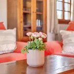 Joana Villa